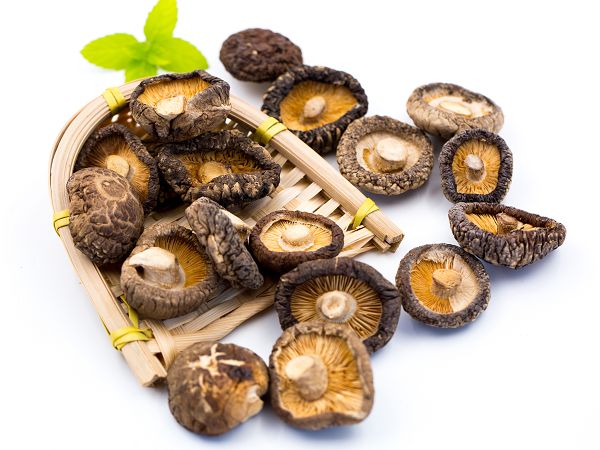 AD shiitake
