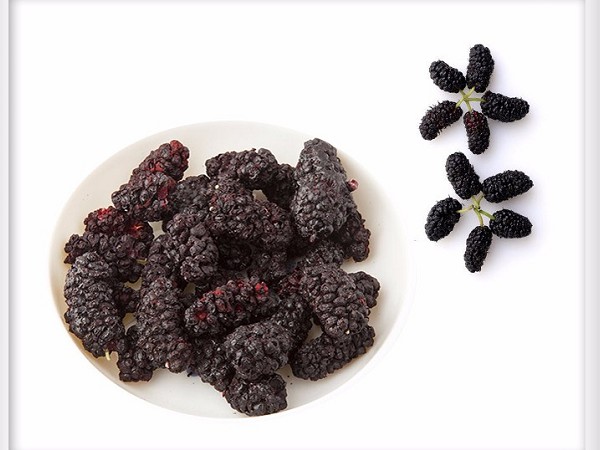 FD Mulberry