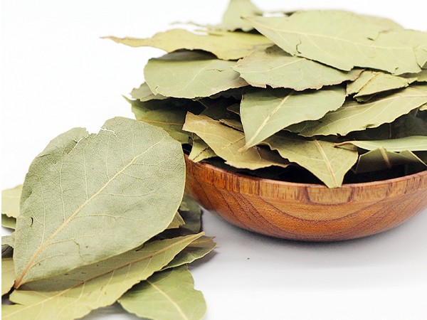 Bay leaf