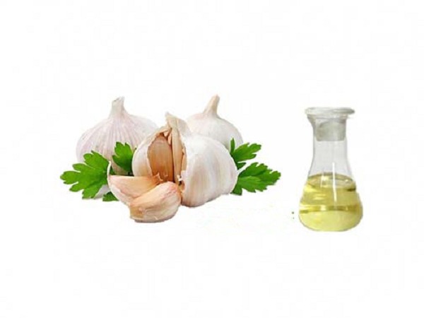 Garlic oil
